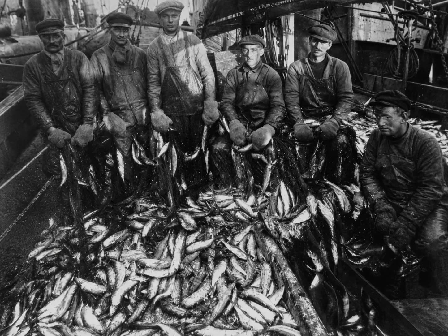 Historical photograph of Norwegian fishermen on deck with a herring catch in their nets